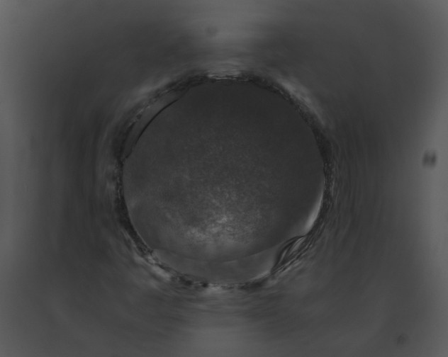 X0000091521445200708311238