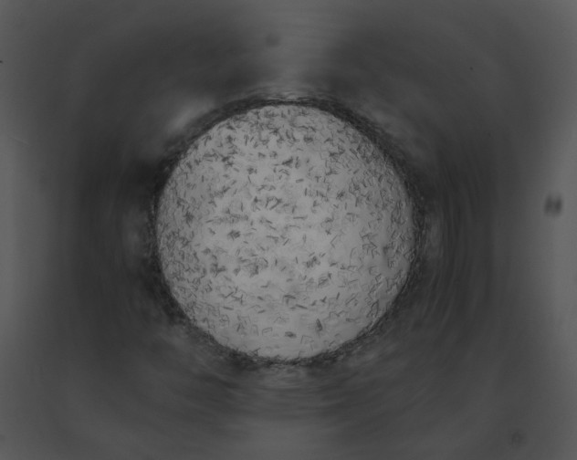 X0000091521446200708311238
