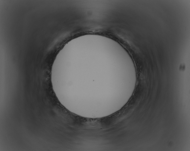X0000091521447200708311238