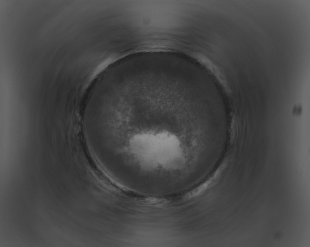X0000091521449200708311238