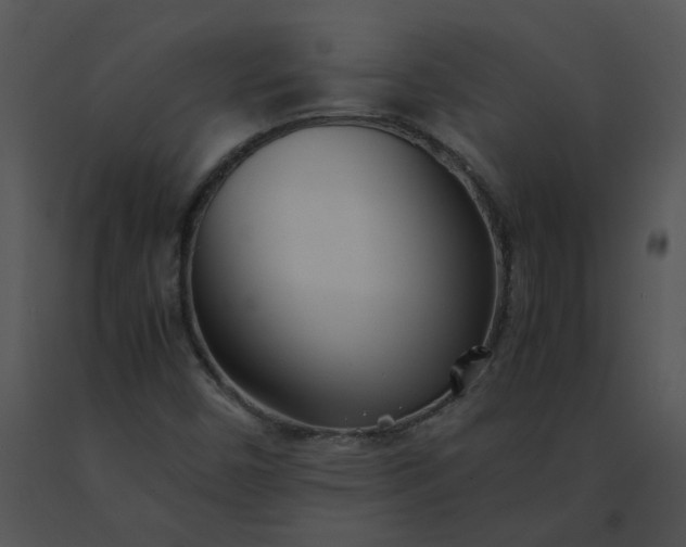 X0000091521450200708311238