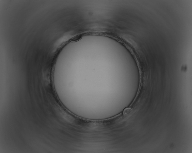X0000091521451200708311238