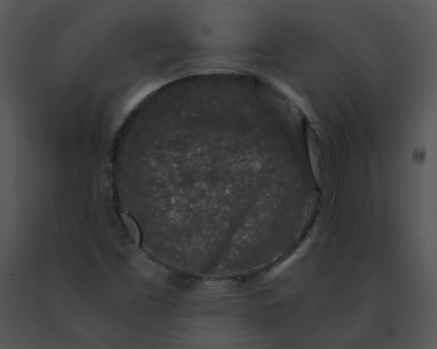 X0000091521453200708311238