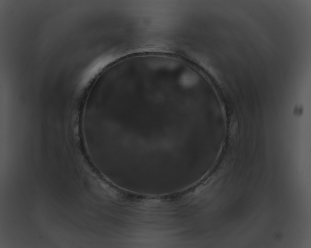 X0000091521455200708311238