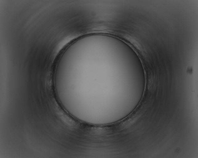 X0000091521458200708311238