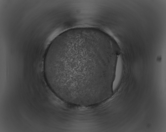 X0000091521459200708311238