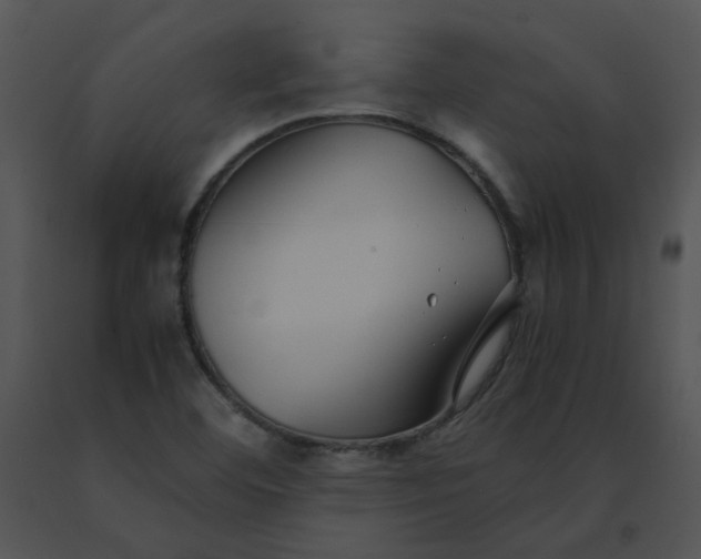 X0000091521460200708311238