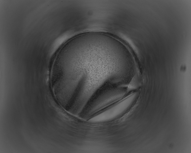 X0000091521461200708311238