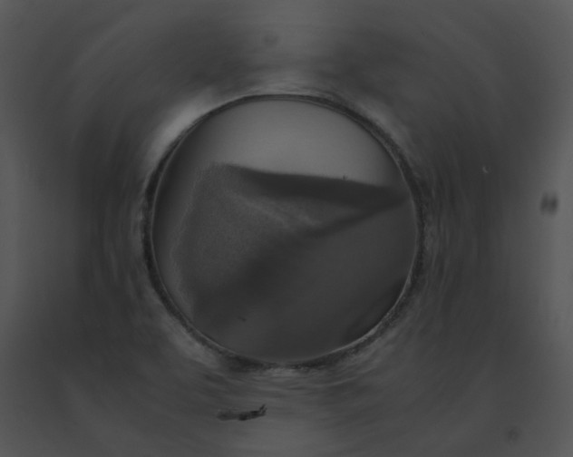 X0000091521463200708311238