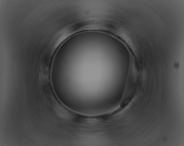 X0000091521465200708311238