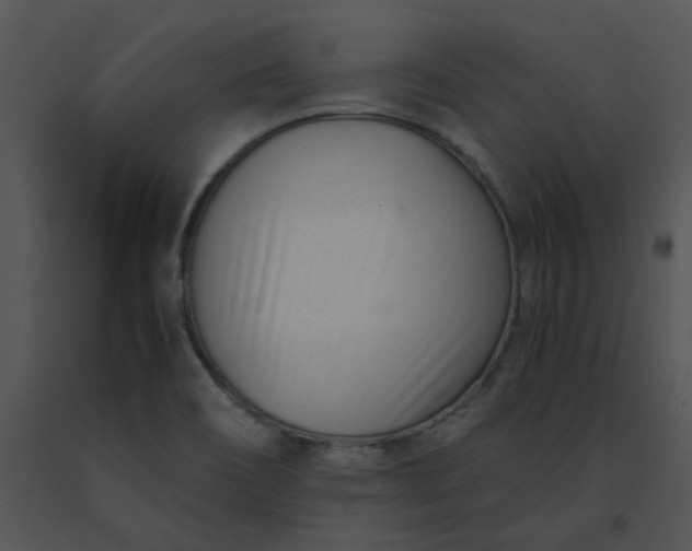 X0000091521466200708311238