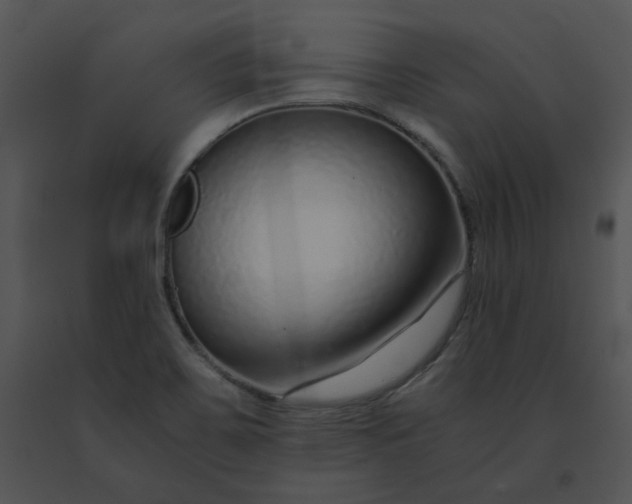 X0000091521467200708311238