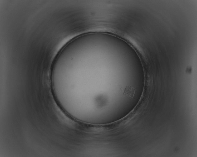 X0000091521468200708311238