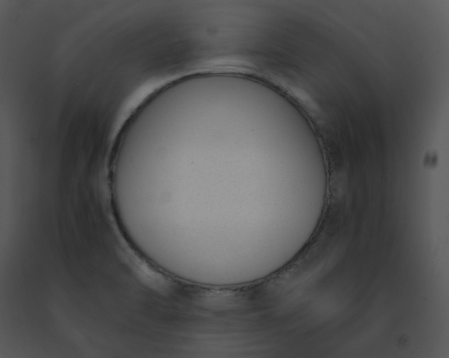 X0000091521470200708311238