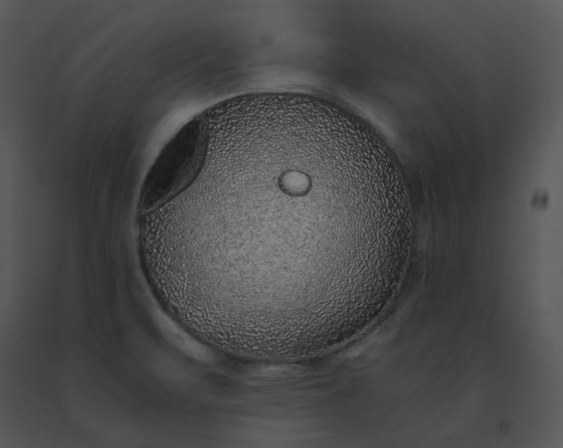 X0000091521471200708311238