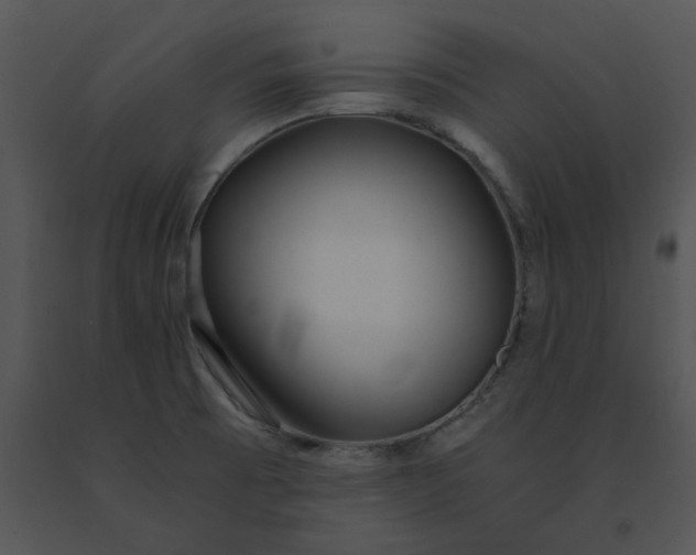X0000091521473200708311238