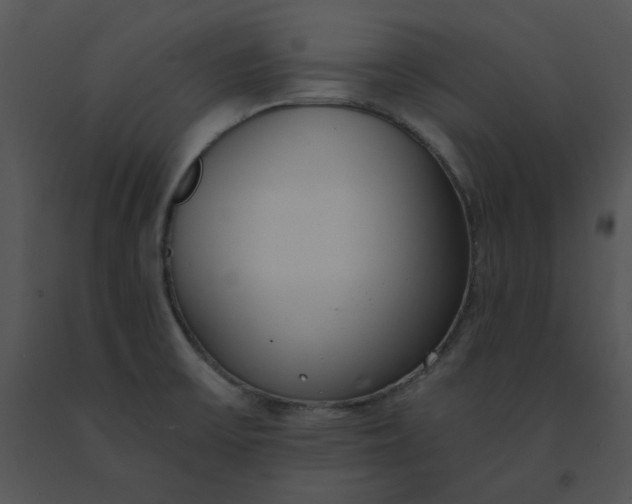 X0000091521475200708311238