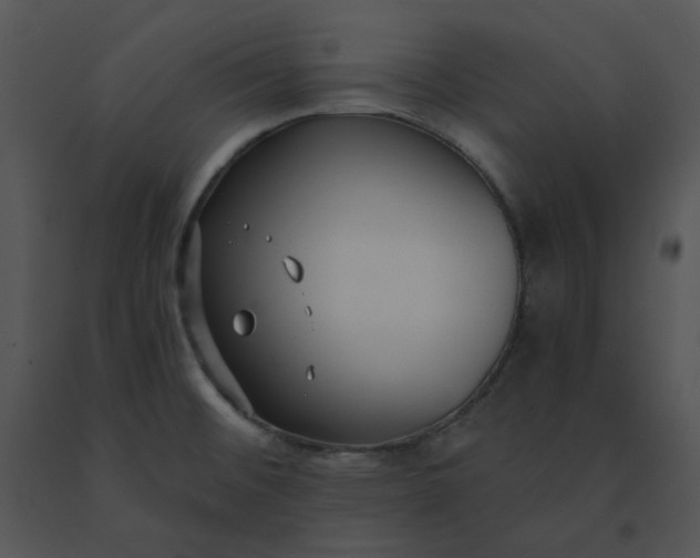 X0000091521476200708311238