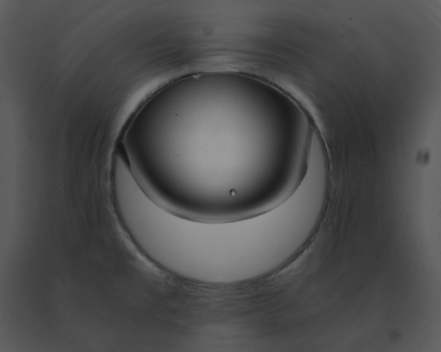 X0000091521477200708311238
