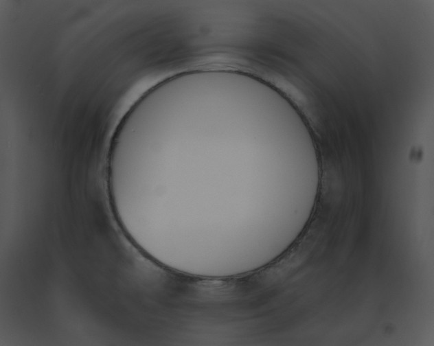 X0000091521478200708311238