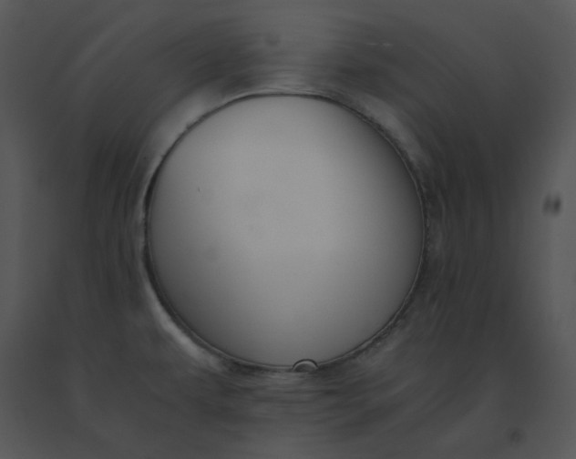 X0000091521479200708311238