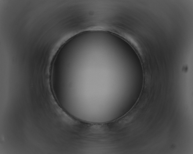 X0000091521480200708311238