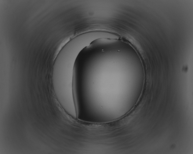 X0000091521481200708311238