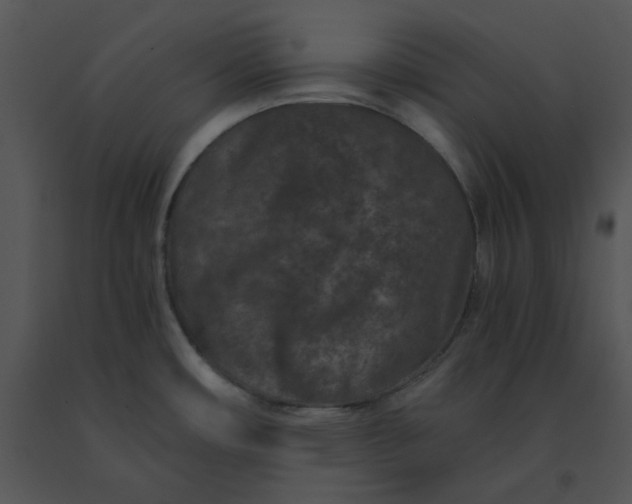 X0000091521482200708311238