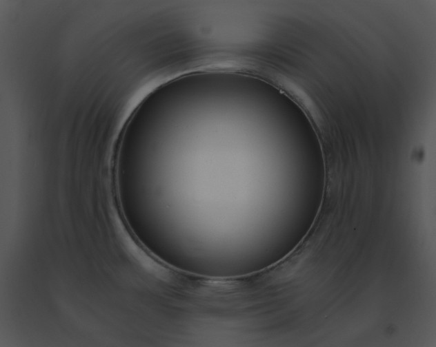 X0000091521483200708311238