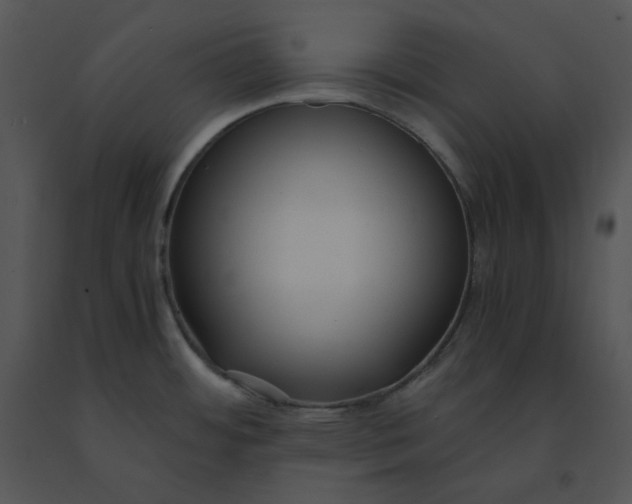 X0000091521484200708311238