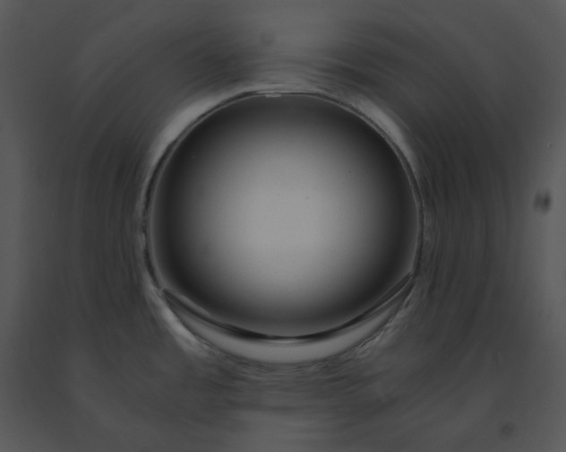 X0000091521485200708311238