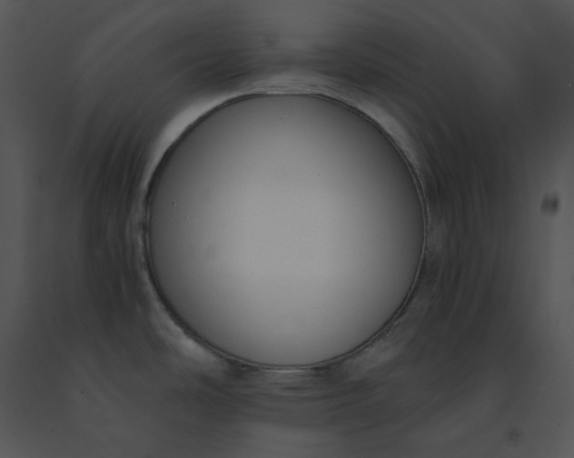X0000091521486200708311238