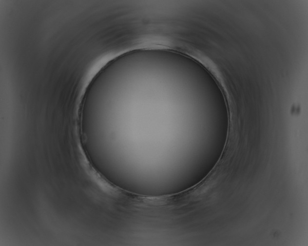 X0000091521488200708311238
