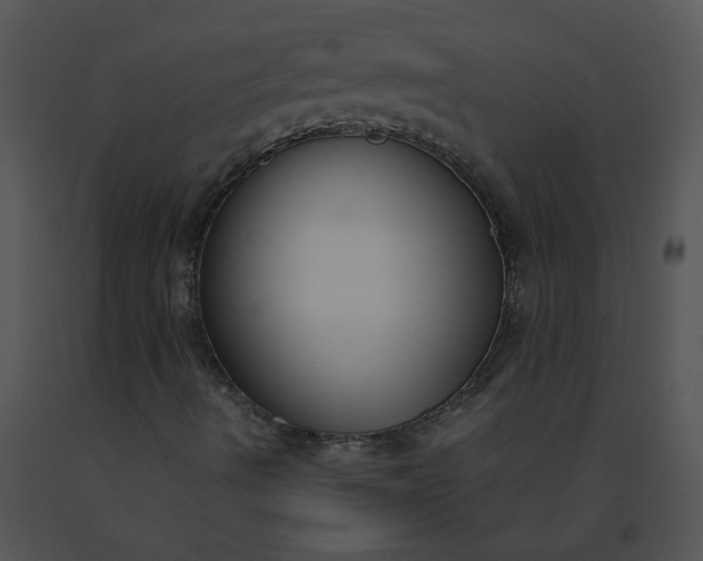 X0000091521490200708311237