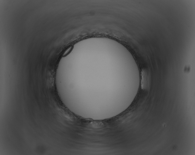X0000091521491200708311237