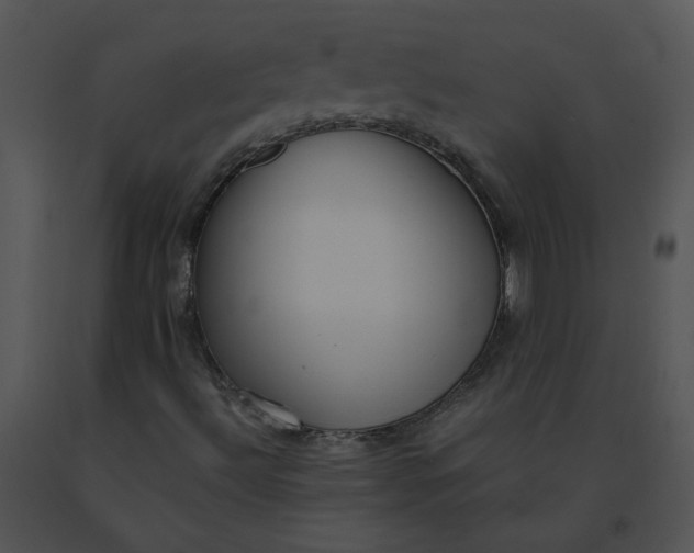 X0000091521492200708311237