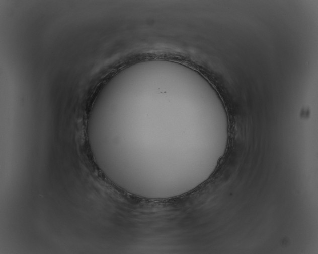 X0000091521493200708311237
