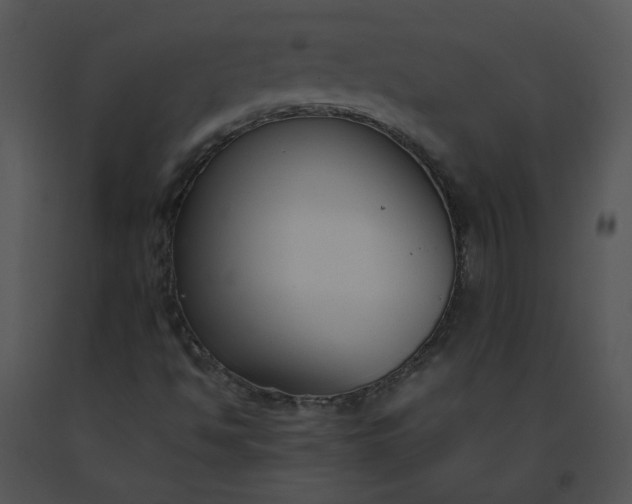 X0000091521494200708311237