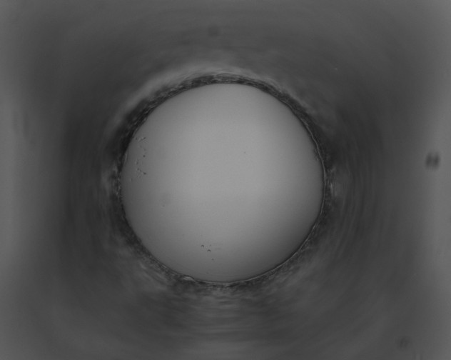 X0000091521495200708311237