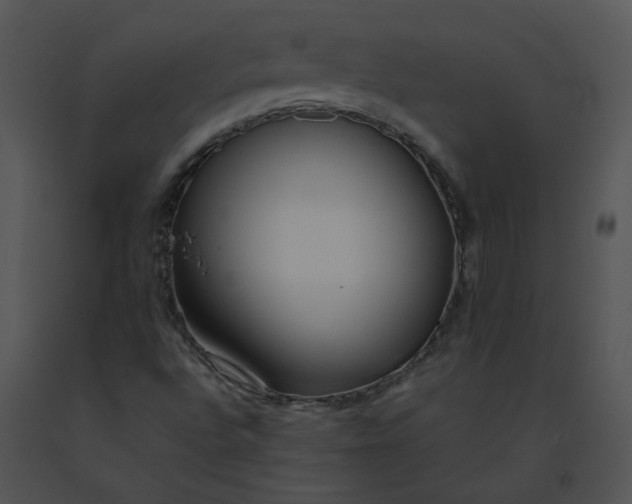 X0000091521496200708311237