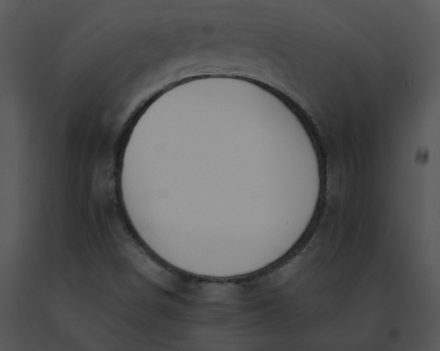 X0000091521498200708311237