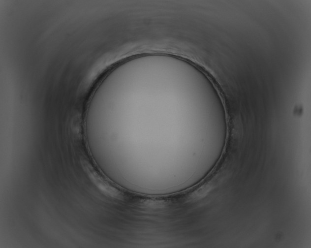 X0000091521499200708311237