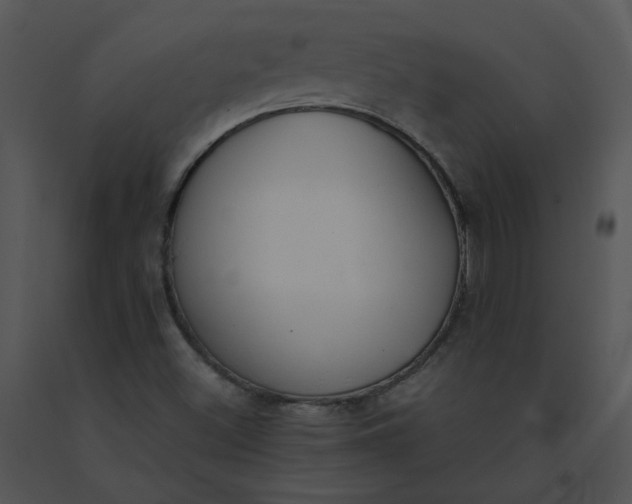 X0000091521500200708311237