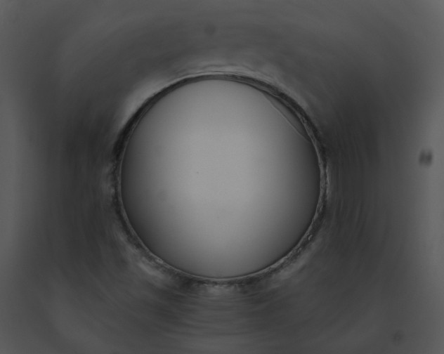 X0000091521501200708311237