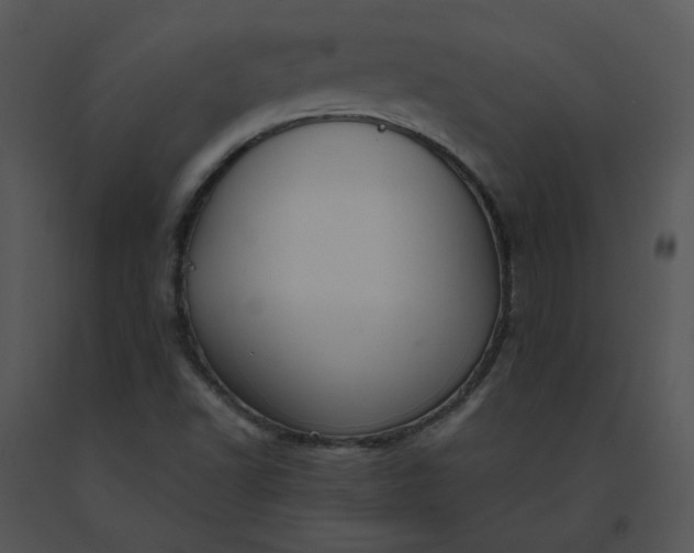 X0000091521502200708311237
