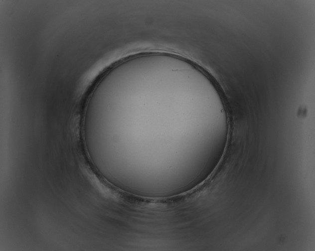 X0000091521503200708311237