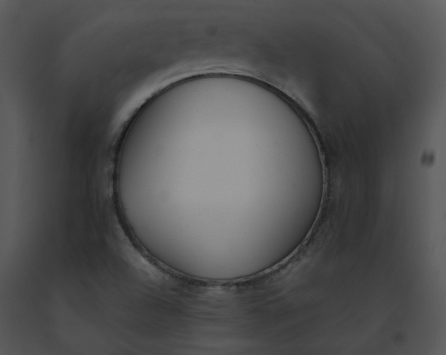 X0000091521504200708311237