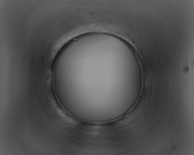 X0000091521507200708311237