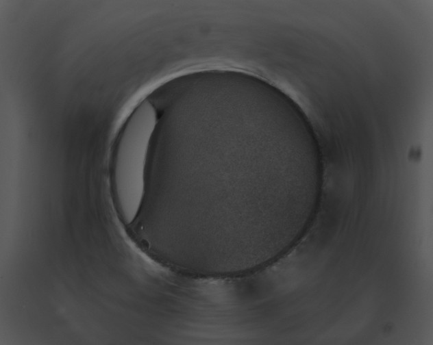 X0000091521508200708311237