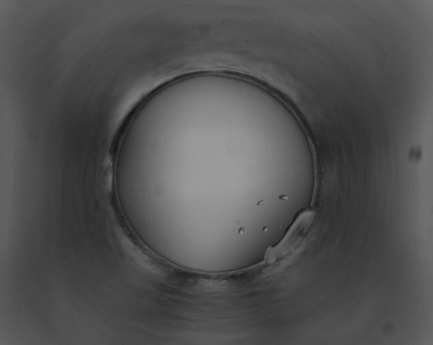 X0000091521509200708311237